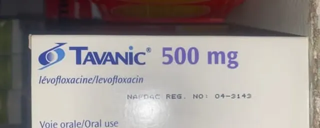 Tavanic